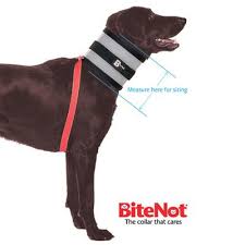 The Original Bitenot Dog Collar Size 6 Cone Alternative