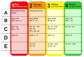 Vital Signs Defining The Colour Coded Triage Tvitals Rr