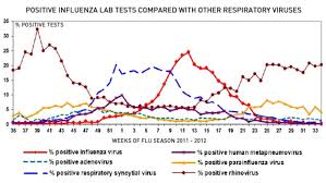 Flu Deaths Reality Check Cbc News