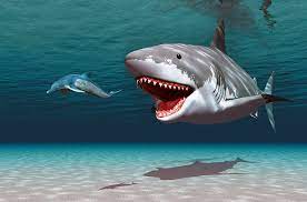 megalodon shark was a very slow swimmer