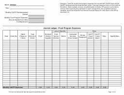 Medication Administration Record Template Pdf Lovely