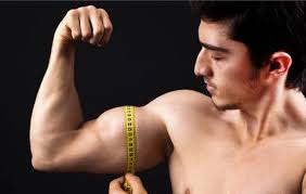 Average Guy Bigger Biceps
