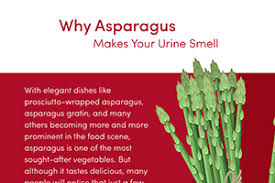 why asparagus makes your urine smell