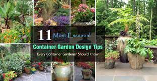 Container Garden Design Tips