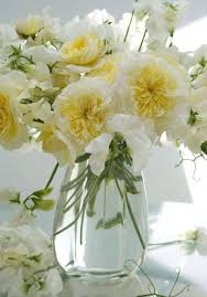 I fiori bianchi simboleggiano da sempre la purezza: Pin By La Figlia Dei Fiori On Fiori In Vaso Beautiful Flowers Pretty Flowers Flower Arrangements