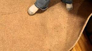mold in carpet you