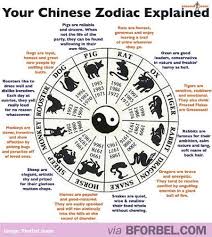 What Your Chinese Zodiac Sign Says About You Chinese