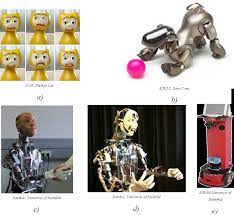 The Design Space for Robot Appearance and Behaviour for Social Robot  Companions | Semantic Scholar