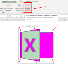 Cómo Quitar el Fondo de la Imagen en Excel - Ninja del Excel