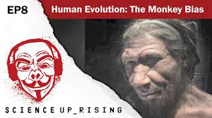 human chimp similarity what does it