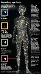 human body chemical composition