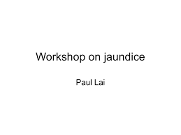 Workshop On Jaundice