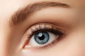 lower eyelid operation eye eye brow