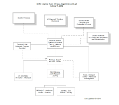 Organizational Chart Internal Audit Division