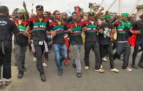 Maybe you would like to learn more about one of these? How South East Cities Responded To Ipob S Sit At Home Order
