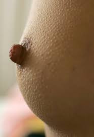 女性の乳頭アップでドン！シワまで拝める接写乳首のエロ画像 - 性癖エロ画像 センギリ