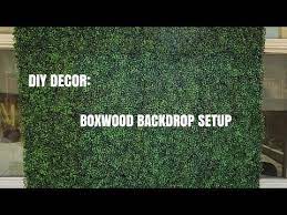 Boxwood Greenery Grass Backdrop
