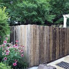 Fence Design Backyard Fences Bamboo Fence