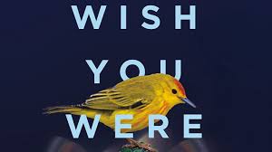 Jodi Picoult's 'Wish You Were Here' is a novel about life during the ...