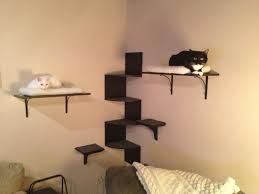 Creative connectors trio2 wall mount shelves $35.95 measuring 31.5″ wide by 14.35″ tall by 6.71″ deep, use these shelves to create a fun stairway some of these shelves may not be big enough for cats to curl up on, but they could be used to create the lanes of your cat climbing wall, linking from. Cat Shelves On Wall My Diy Cat Wall Cat Wall Shelves Diy Cat Shelves Cat Shelves