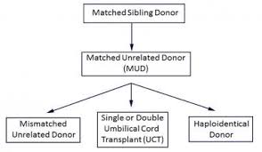 Hematopoietic Stem Cell Transplantation Practice Essentials
