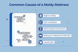 How To Spot Mold On Mattress What To