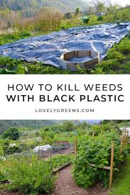 How To Use Black Plastic To Kill Weeds
