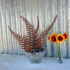Rusty Fern Fronds Bouquet Ferns For