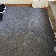 top 10 best carpet cleaners in