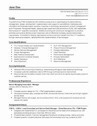 Resume Sample Accomplishments Examples Valid Functional Resume