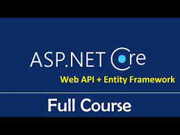 asp net core web api eny framework
