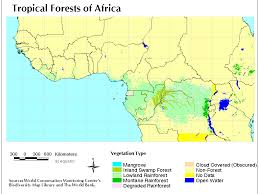 Tropical rainforests all over the world have immense importance as they provide a life support system for the planet as well as goods and services to the people who live in the rainforests. The Scope And Health Of The African Rainforest