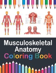 Human anatomy and physiology books. Musculoskeletal Anatomy Coloring Book Human Body And Human Anatomy Learning Workbook Muscular System Coloring Book Kids Anatomy Coloring Book Huma Paperback Pages Bookshop