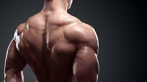 the best bodybuilding back workout