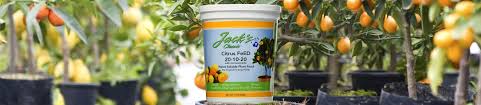 This link is to an external site that may or may not meet accessibility. 5 Best Fertilizers For Citrus Trees Reviewed In Detail Mar 2021
