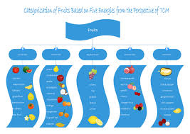 Fruits Types Diagram Free Fruits Types Diagram Templates