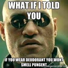 What if i told you If you wear deodorant you wont smell pungent ... via Relatably.com