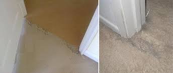 carpet scratch stopper cat proof