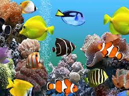 Free Download Animated Aquarium Desktop ...