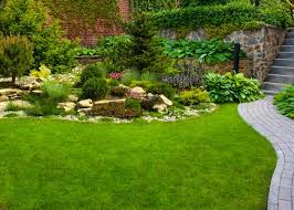 Cultivate A Low Maintenance Garden