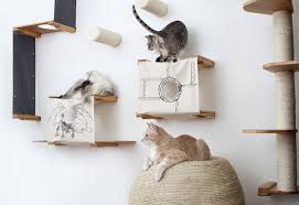 modern cat furniture wall mounted