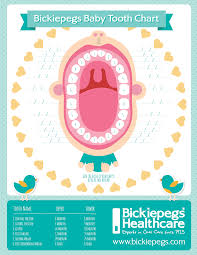 Bickiepegs Teething Chart Bickiepegs