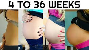 Pregnancy Week By Week Watch My Pregnant Belly Progression