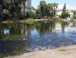 Park La Brea (Los Angeles) - 2022 Lohnt ...