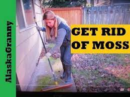 How To Clean Your Patio And Kill Moss