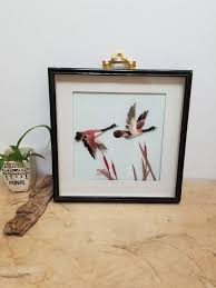 Vintage 3d Box Frame Chinese Feather