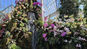 New York Botanical Garden S Orchid Show