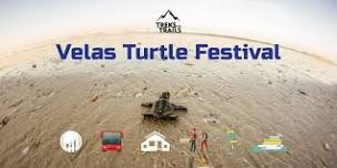 Velas Turtle Festival from Mumbai Ac Bus