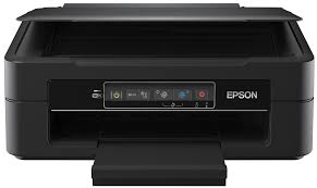 If you haven't installed a windows driver for this scanner, vuescan will automatically install a driver. Epson Xp 245 Download Peatix