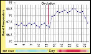 Fertility Awareness How To Track Your Cycle And Know When